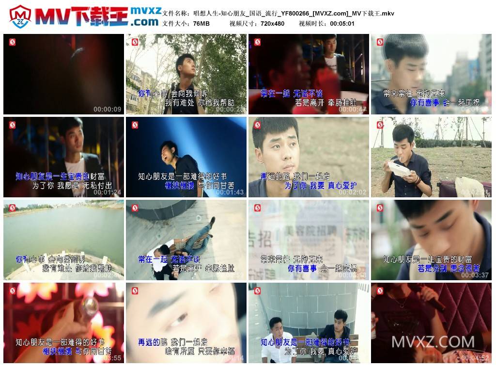 唱想人生-知心朋友_国语_流行_YF800266